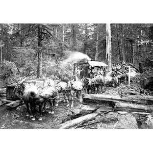    Vintage Art Loggers and Their Logs   03493 9