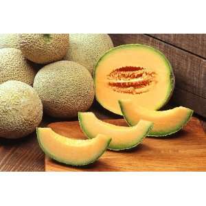 CANTALOUPE LARGE FRESH PRODUCE FRUIT MELONS EACH  Grocery 