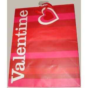  7 X 9 Valentine Gift Bag with Attached Mini Card Beauty