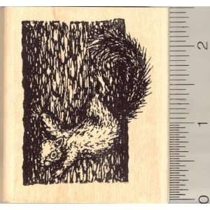  Tree Climbing Squirrel Rubber Stamp Arts, Crafts & Sewing