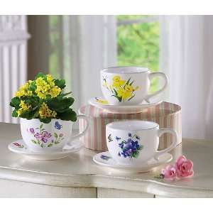  Ceramic Teacup Planter Pots 
