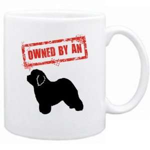  New  Owned By Old English Sheepdogs  Mug Dog