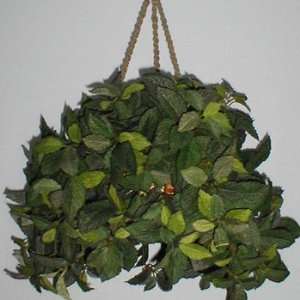  Silk Fittonia Hanging Basket (pink/mauve)