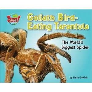  Goliath Bird Eating Tarantula The Worlds Biggest Spider 