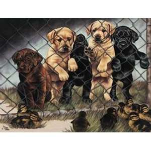  Cute Dogs Metal Tin Sign Jail Birds