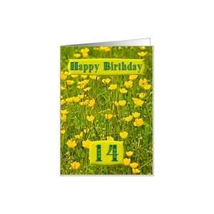    Wildflower meadow card for a 14 year old Card Toys & Games