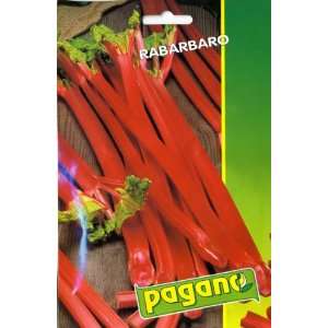  Pagano 3911 Rhubarb (Rabarbaro) Seed Packet Patio, Lawn 