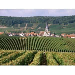  Chamery, Montagne De Reims, Champagne, France Photographic 