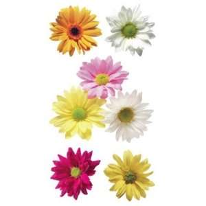  SHT STIX 2.5x4.5 DAISIES Patio, Lawn & Garden