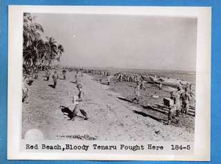 1942 Guadalcanal Red Beach Bloody Tenaru Battle Photo  