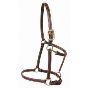  Walsh Leather Track Halter Yearling