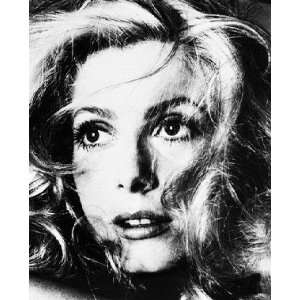  Catherine Deneuve 12x16 B&W Photograph