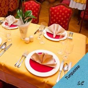   Each 60x60 Turquoise Wholesale Elegance Tablecloths