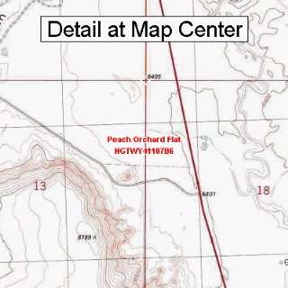  USGS Topographic Quadrangle Map   Peach Orchard Flat 