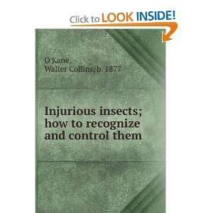  Injurious insects; how to recognize and control them 