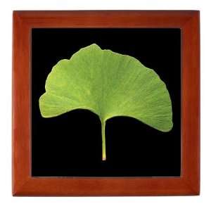  Ginkgo Leaf Photography Keepsake Box by  Baby