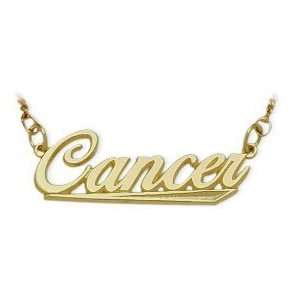   Cancer Script Zodiac Pendant June 23 July 23 with 20 chain Jewelry