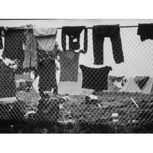  Laundry Hanging on Fence at Woodstock Music Festival 