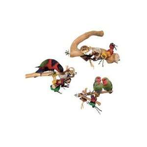  Java Wood Toy Branch   Large   16 in. x 2 in. Pet 