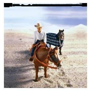  Schleich Western Riding Set with Horse Toys & Games