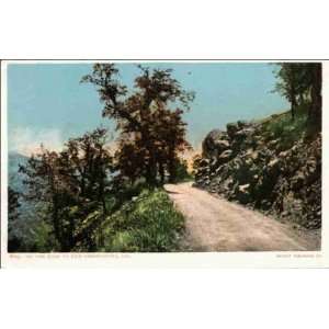  Reprint San Jose CA   On the Road to Lick Observatory 1900 