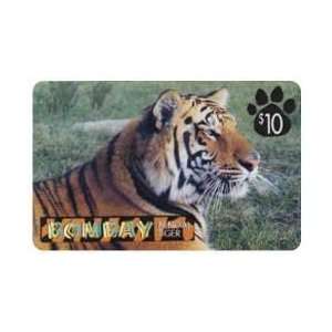   10. Bombay Bengal Tiger Cat (Predators Plus Series) 