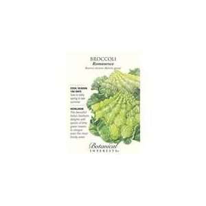    Botanical Interest   Broccoli Romanesco Patio, Lawn & Garden
