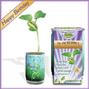 Happy Birthday Magic Plant   Just Add Waterwatch Your Greeting Grow 