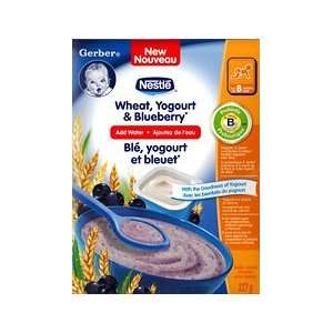   Blueberry , Just ADD Water 227g  Grocery & Gourmet Food