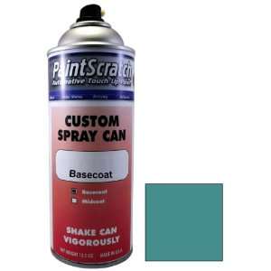   Paint for 2002 Winnebago All Models (color code P7416) and Clearcoat