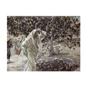 James Jacques Tissot   Accursed Fig Tree Giclee 