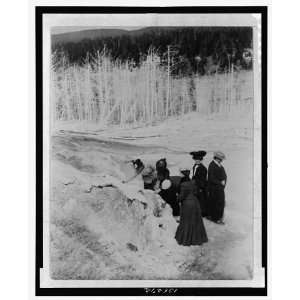   land formations in Yellowstone National Park 1903