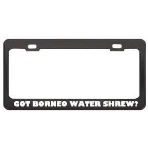 Got Borneo Water Shrew? Animals Pets Black Metal License Plate Frame 