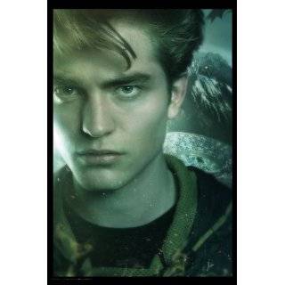   and the Goblet of Fire   Cedric Diggory   Face, 20 x 30 Poster Print