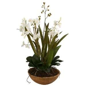 Moth Orchid Planter, Floral by Uttermost   Natural Brown Finish (60039 