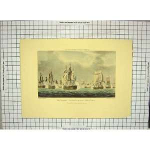 Calders Action Whitcombe Sutherland Sculp Navy Print 