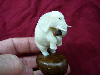 tne4a 086) ELEPHANT TAGUA NUT Figurine carving Vegetable NUTS  