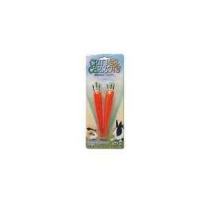  Super Pet Critter Carrots Small Animal Chews 2 2 Packs 