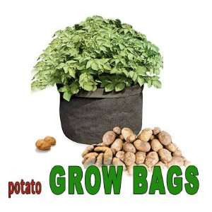   Air to Circulate Around Roots. Two (2) Bags in This Package. Patio