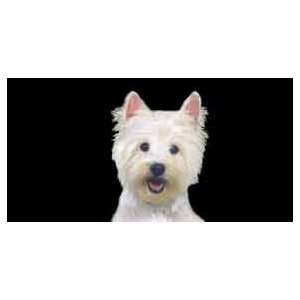  AIRBRUSHED LICENSE PLATES   WEST HIGHLAND TERRIER   #1440 