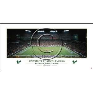  University of South Florida   Raymond James Stadium College 