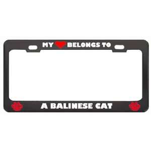   Balinese Cat Animals Pets Metal License Plate Frame Holder Border Tag