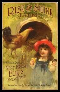 Magnet Rise and Shine Farms Chicken Girl Fresh Eggs  