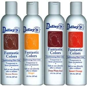  Dudleys Fantastic Colors Conditioning Hair Color   X 