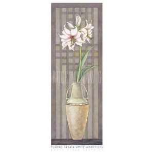  White Amaryllis Poster Print