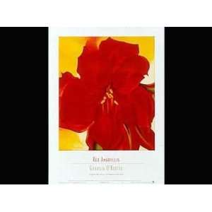  Red Amaryllis 1937 Poster Print