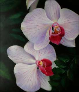 High Q. Hand Painted Oil Painting Giant White/Lavender Orchids  