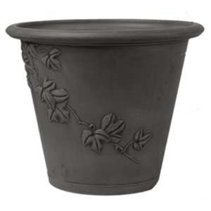  ARCADIA GARDEN PRODUCTS, PSW TRAILING IVY 12 CHARCOAL 