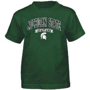  Michigan State Spartans NCAA Crackle Print Team Name 