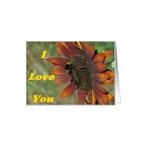  Bee And SunFlower Love & Romance Card Card Health 